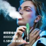 LANA 拋棄式8000口冰荔枝 | LANAVAPE 一次性電子煙口味推薦 - 台灣現貨:圖片 2