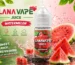 LANA Vape Juice 2026 全系列熱門口味精選，展示多樣化清爽水果風味煙油